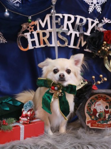 20251213とわくん