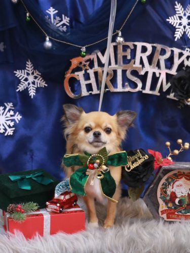 20251213れおくん