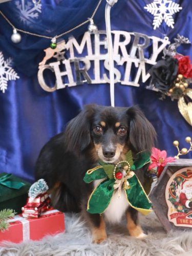 20251214れおくん