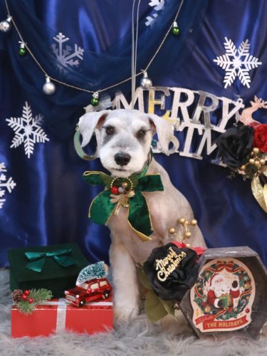 20251214りくくん