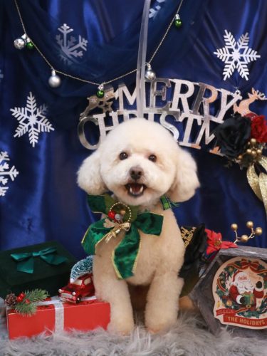 20251214りいくん