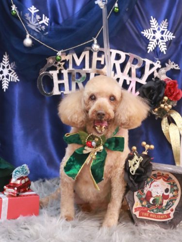 20251216ケンくん