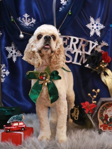 20251217りあんくん