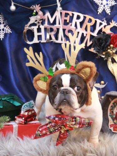 20251217まりちゃん