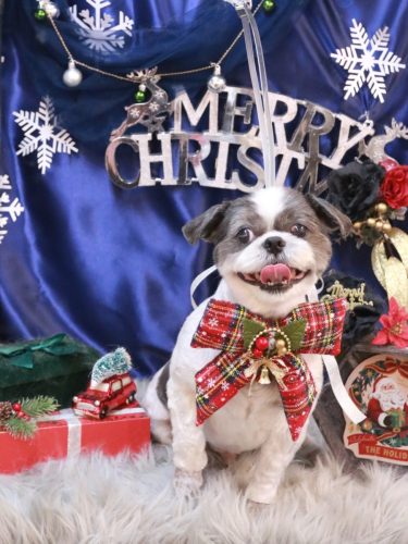 20251219大吉くん