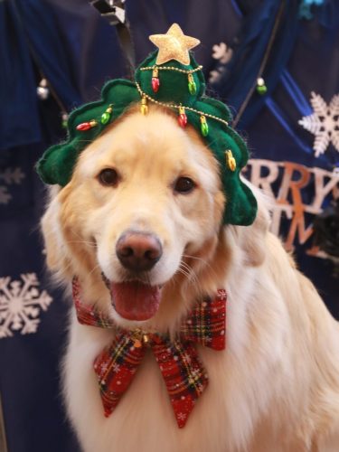 20251210ナナちゃん