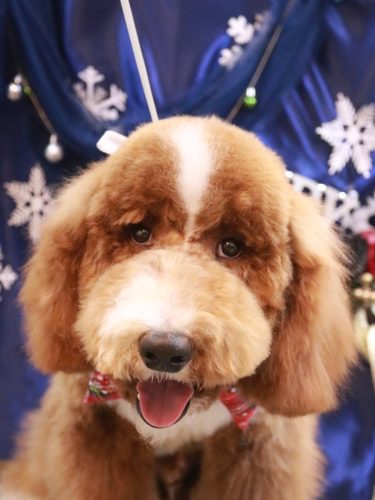 20251220アムくん