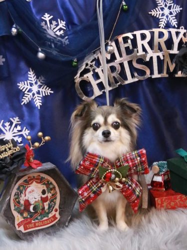 20251221あもちゃん