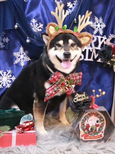 20251221ココくん