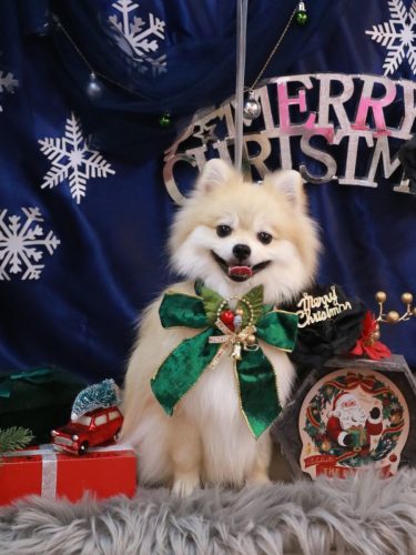 20251221なちゅくん