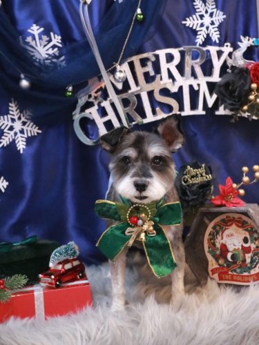 20251223クロムくん