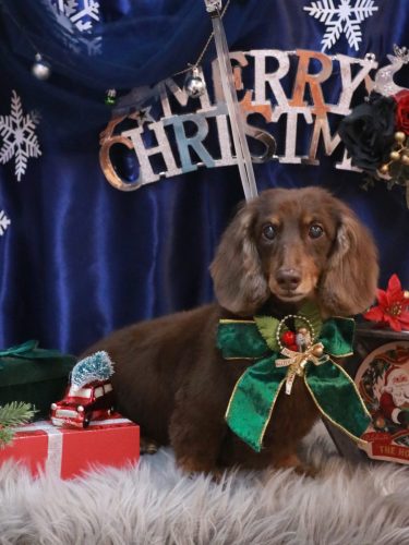 20251223ジョナくん