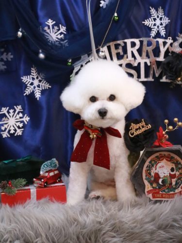 20251223姫葵ちゃん