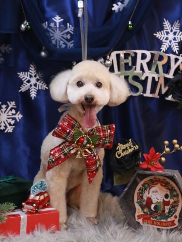 20251225ジョナくん