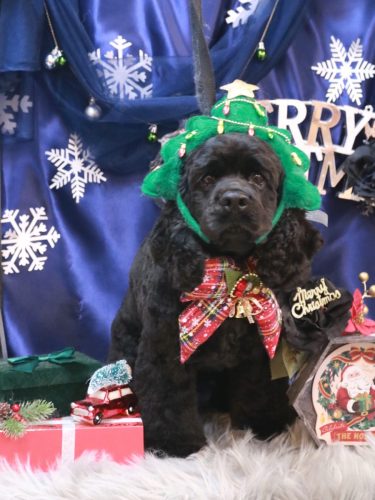 20251225天ちゃん