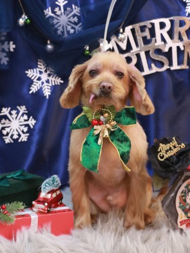 20251225紋之助くん