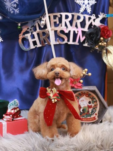 20251226永遠ちゃん