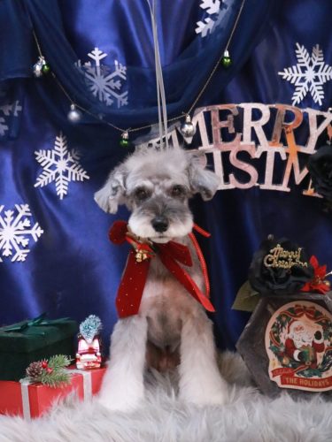 20251227ラーラちゃん