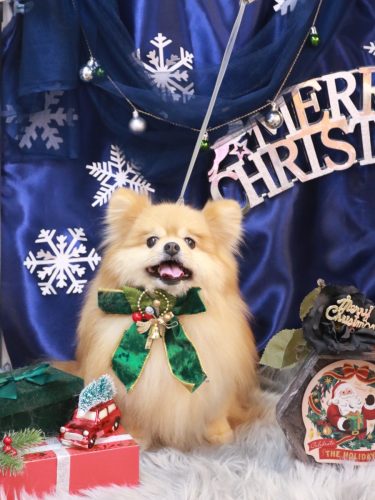 20251229梛都ちゃん