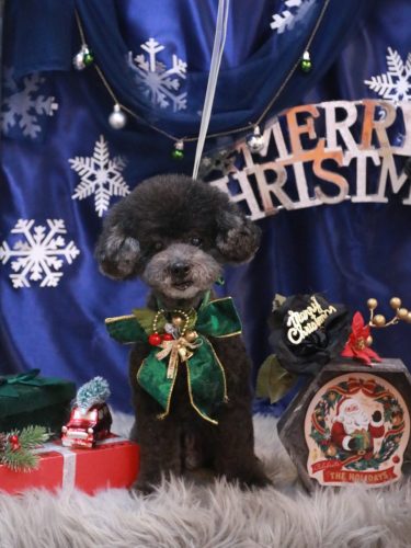 20251229コタロウくん