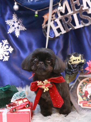 20251229つむぎちゃん