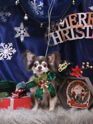 20251229空太くん