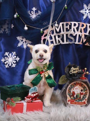 20251230ポンタくん