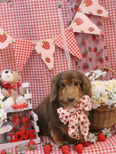 202600301モカくん