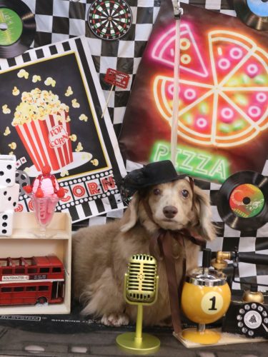 20260102ぺこちゃん