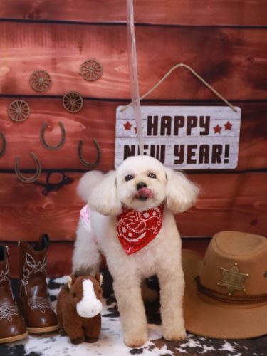 20260105リコちゃん