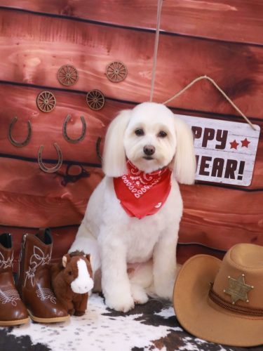 20260105風太郎くん