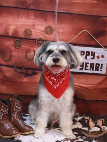 20260105パピコくん