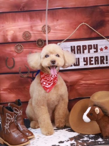 20260105モンチちゃん