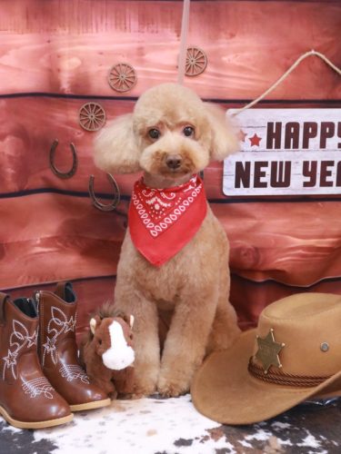 20260106レオくん