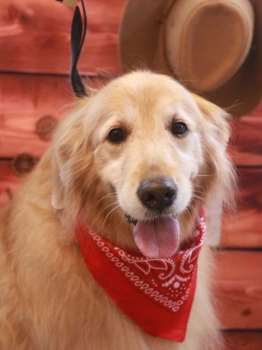 20260106Mickeyちゃん