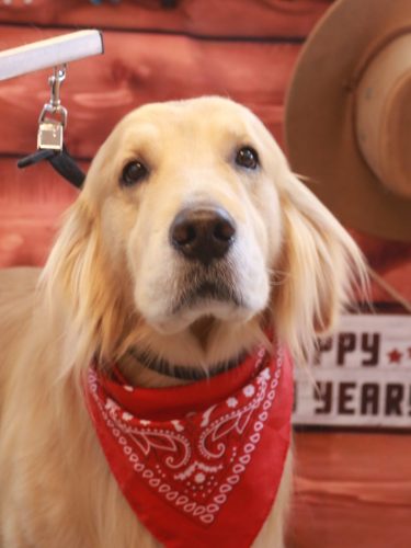 20260106マロンくん