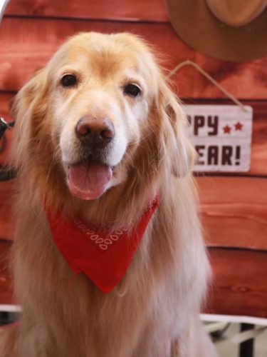 20260106五助くん