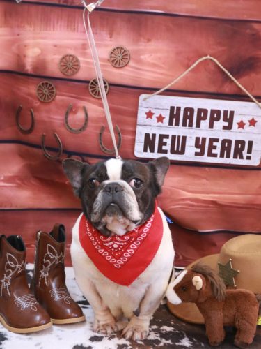 20260106まりちゃん