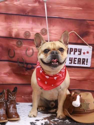 20260106力也くん