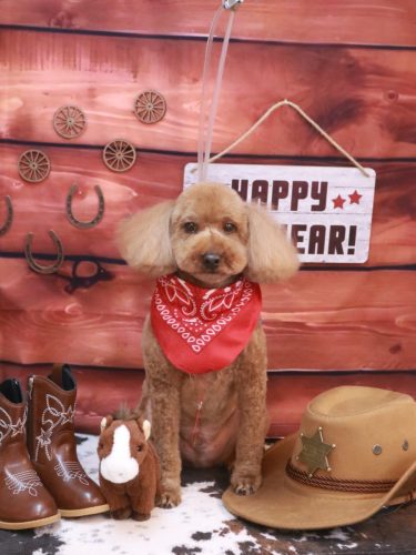 20260107ぷぅくん