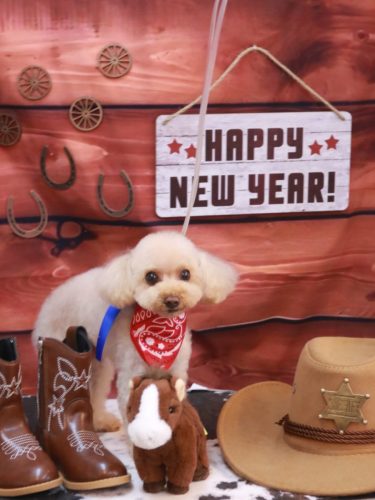 20260107こむぎちゃん