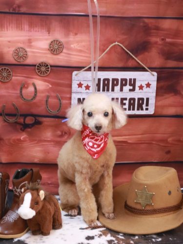 20260107バズくん