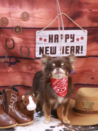 20260107チロルくん