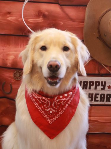 20260108ナナちゃん