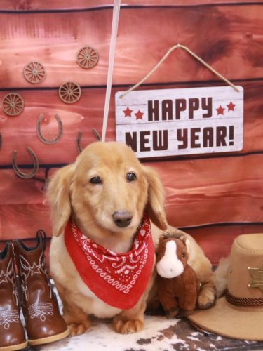 20260108レオンくん