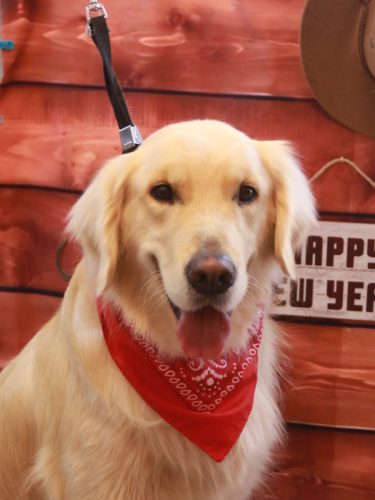 20260109レオくん