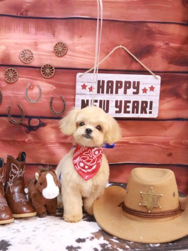 20260109いちごちゃん