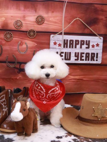 20260109ゆわちゃん