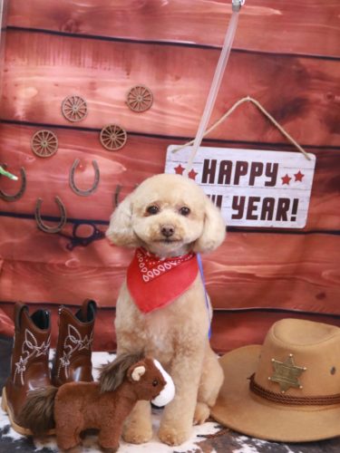 20260109めるちゃん