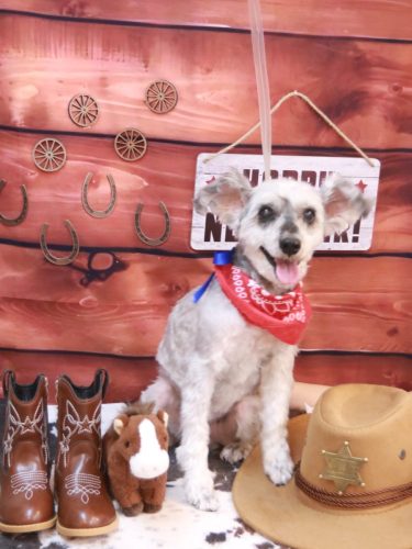 20260109来夢ちゃん